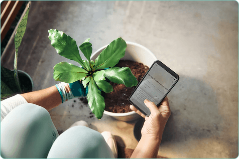 Smartphone and workspace beside a potted plant